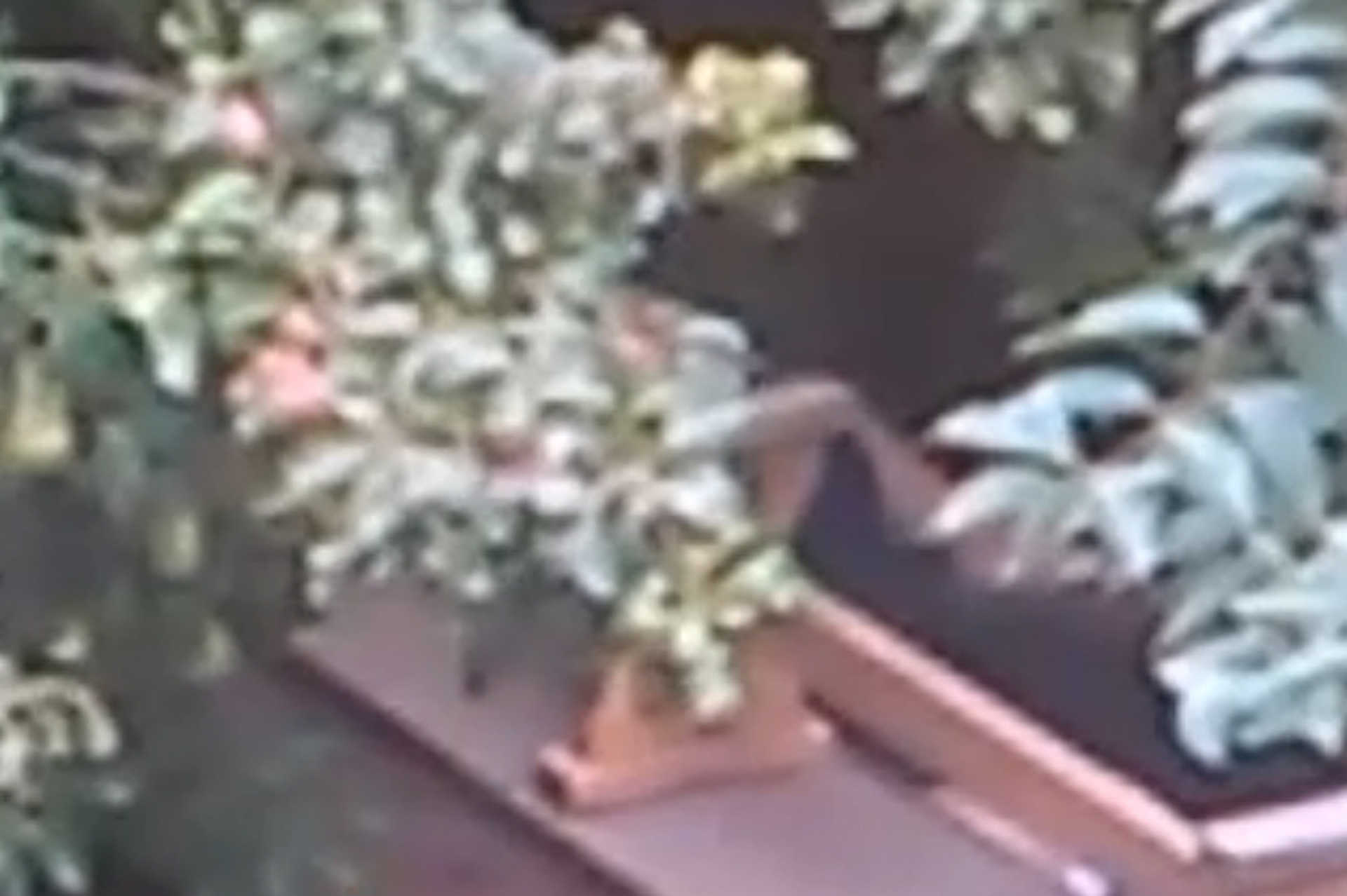 Szponzorált hirdetések