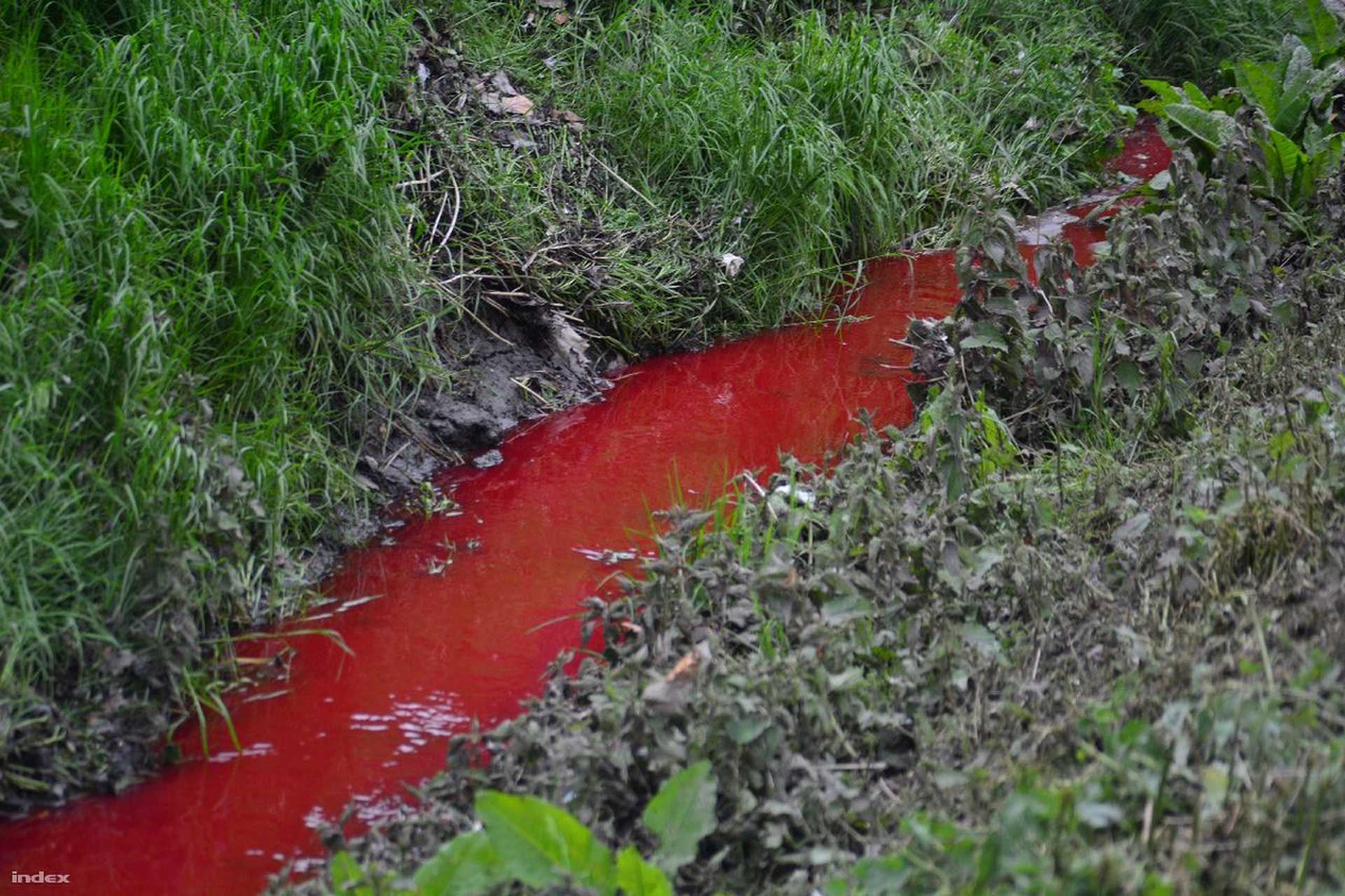 Hol lehet vásárolni drogos Voronezsban - melybelsoatalakulas.hu Hol lehet vásárolni drogos Voronezsban