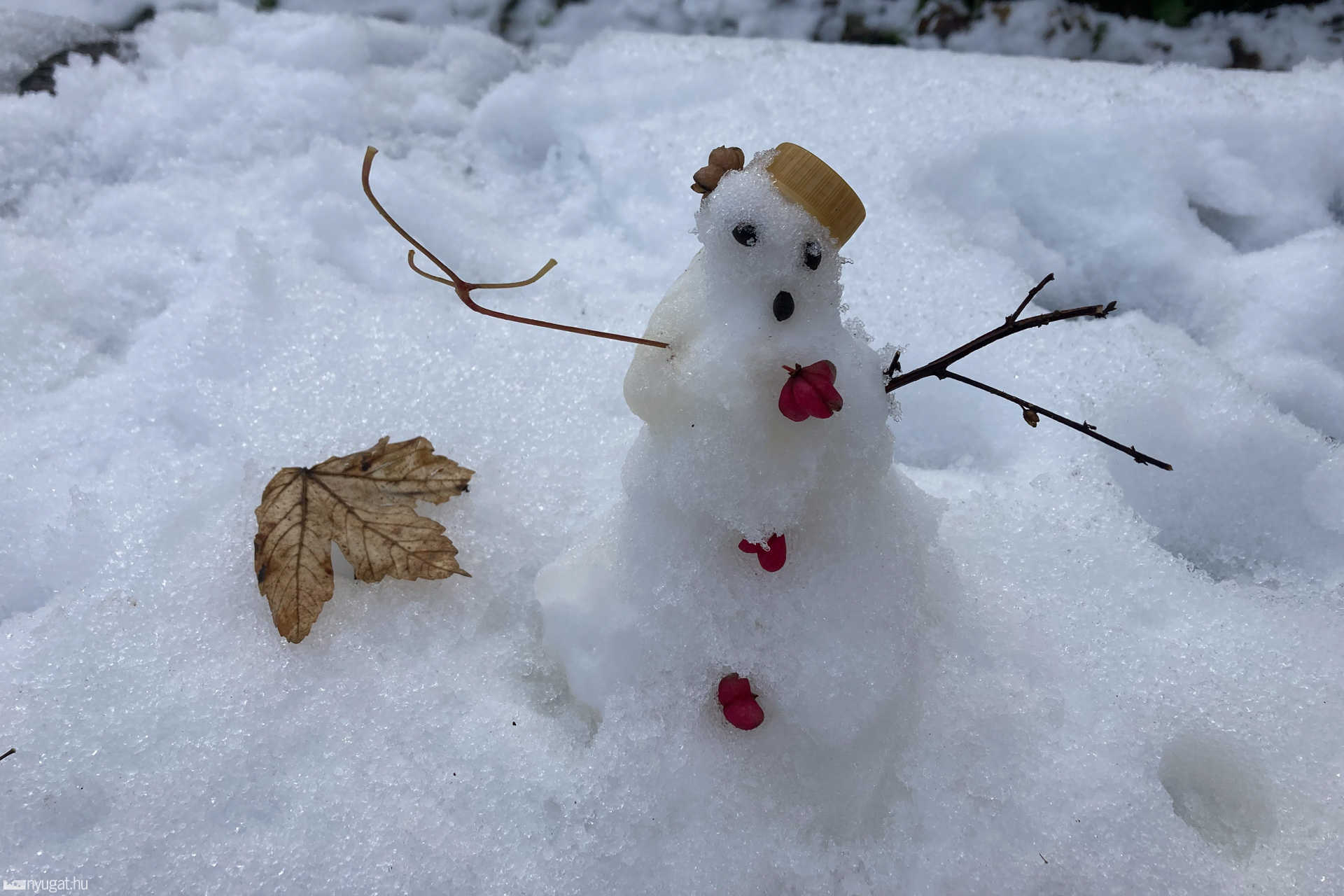 Ezt készítettük mi. Remélem, elégedettek vagytok vele! (A méretéről sokat elárul, hogy egy üdítős palack kupakja a kalapja.)