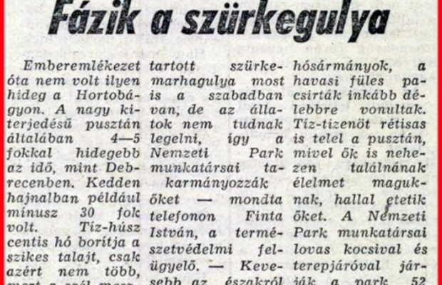 112press.hu