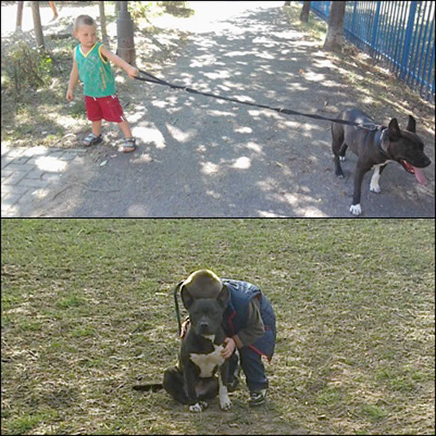 Molly, 5 &eacute;ves