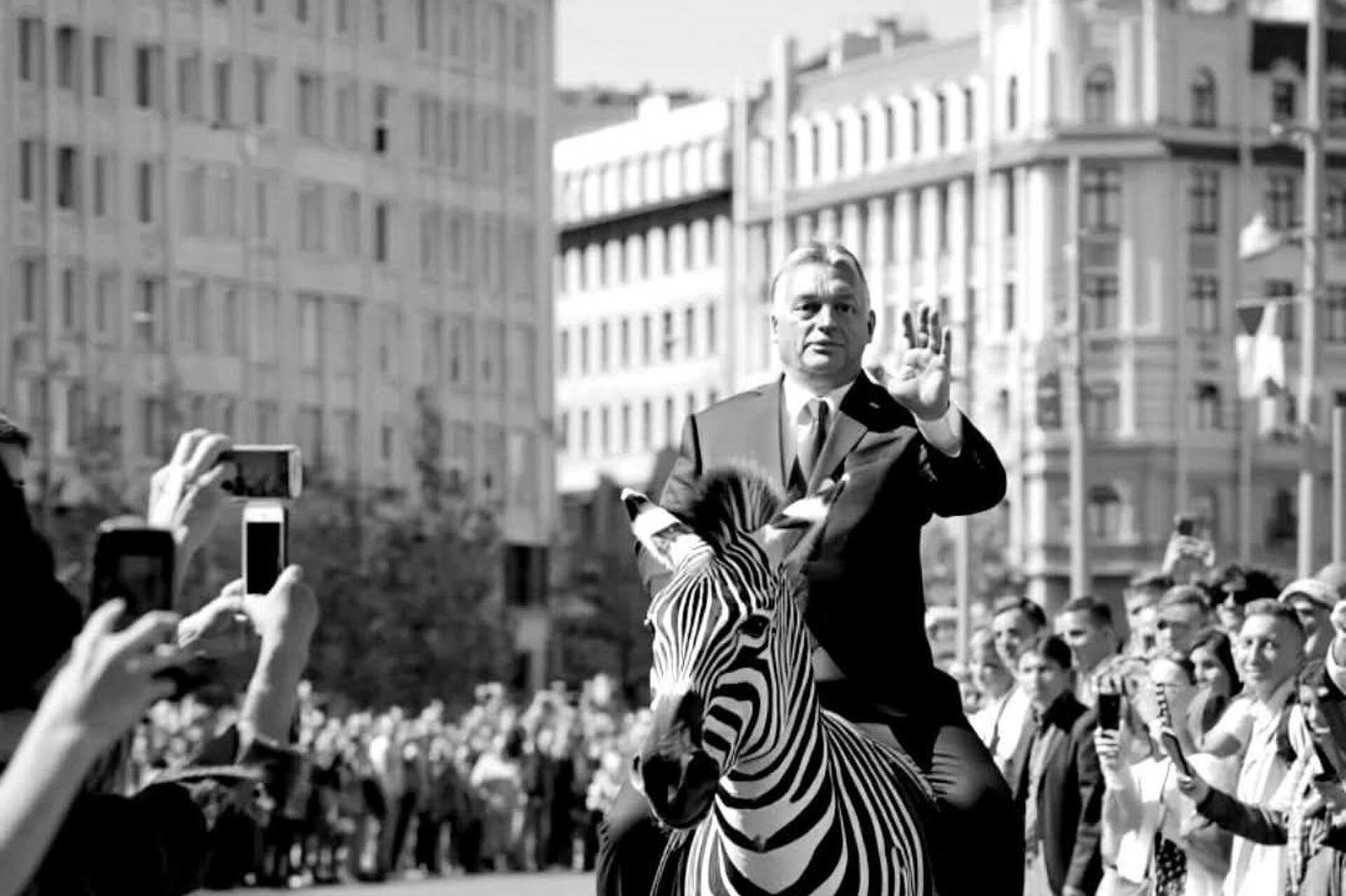Orbán, Szijjártó és Győzike is beszáll a Zebra polgári körbe Kép
