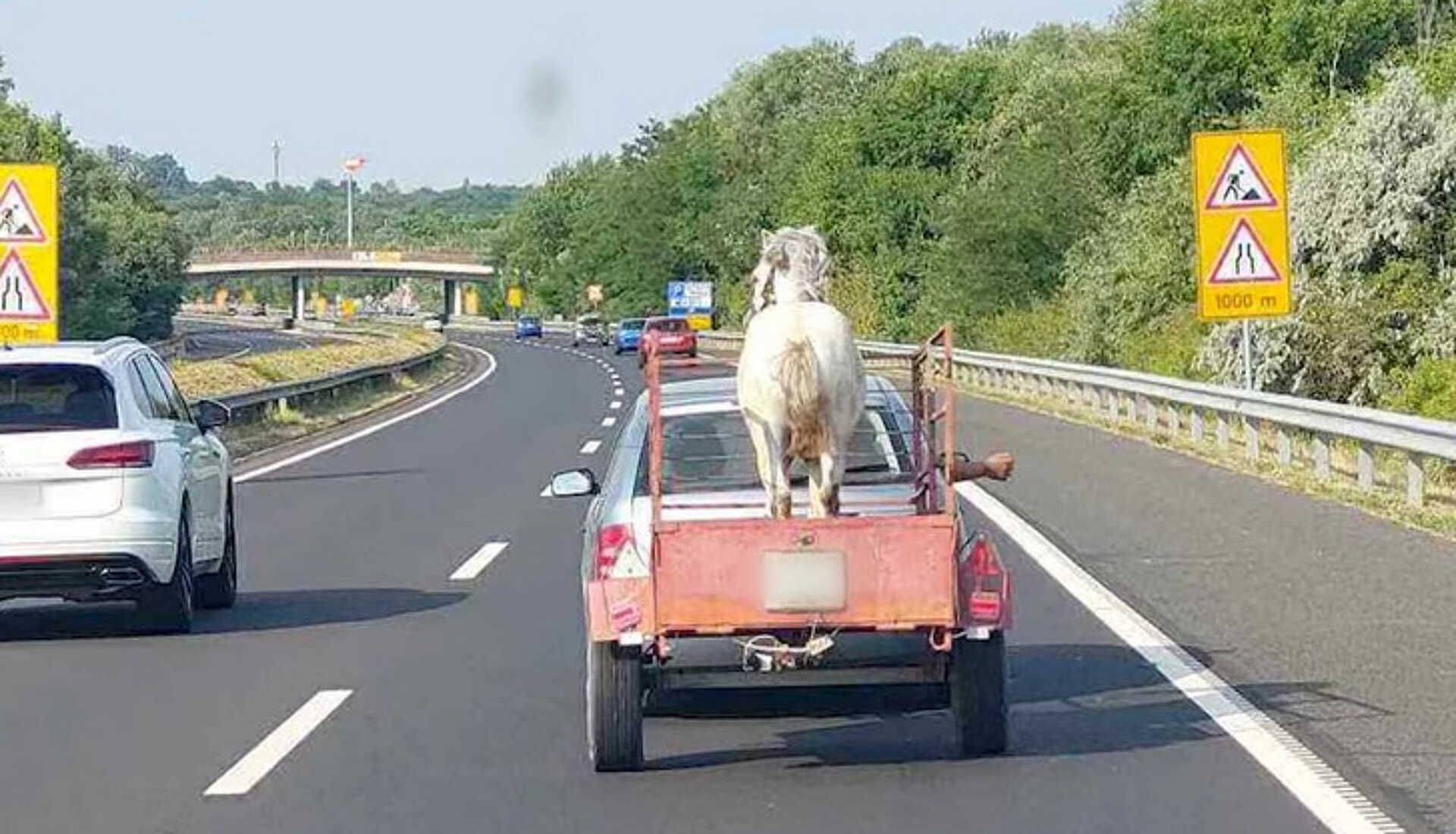 Elképesztő vakmerőség a sztrádán, ez is csak nálunk történhet meg Kép