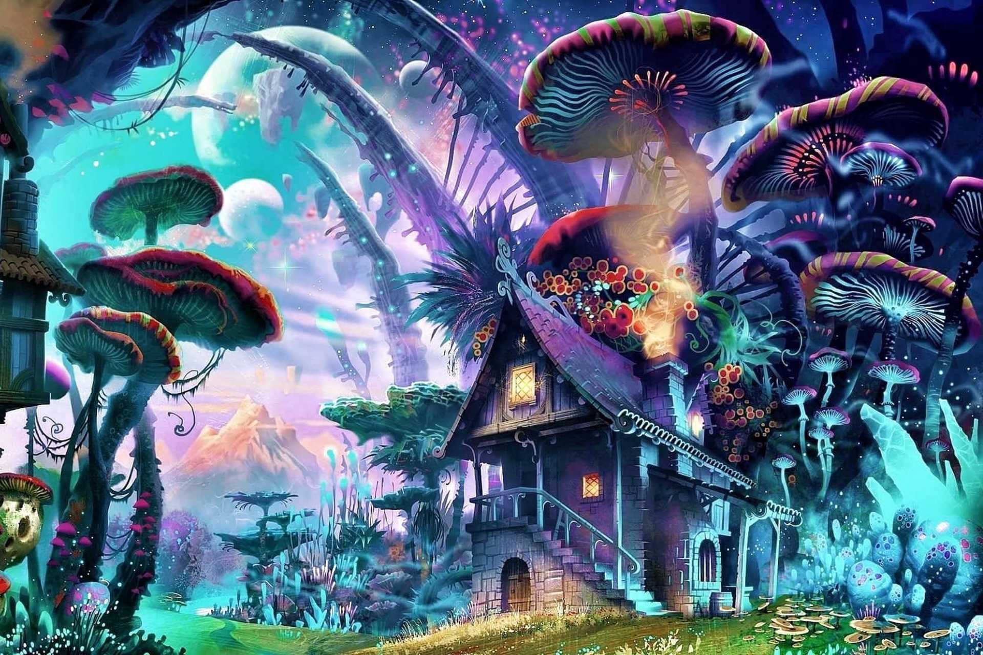 Mushed Shrooms Kingdom