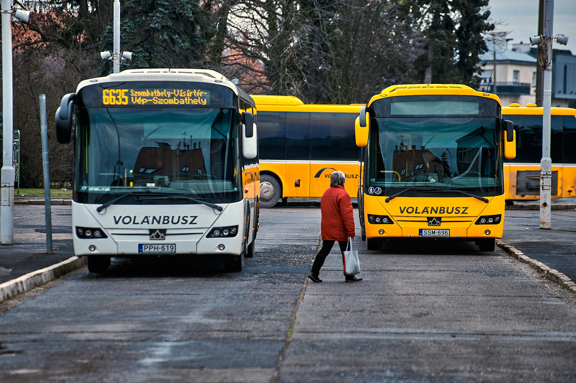 Gyepálni kezdte a buszsofőrt, mert rossz járatra szállt Kép
