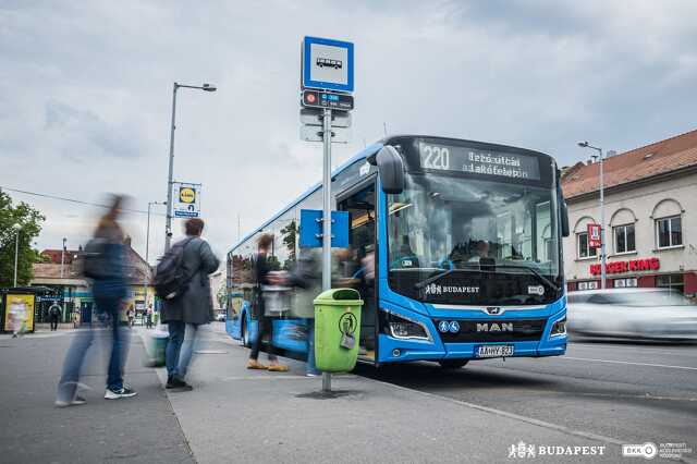 BKK, Budapest, busz