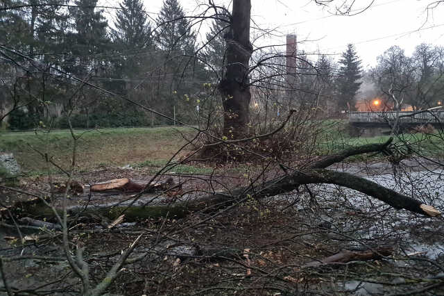 Fakidőlés Kőszegen