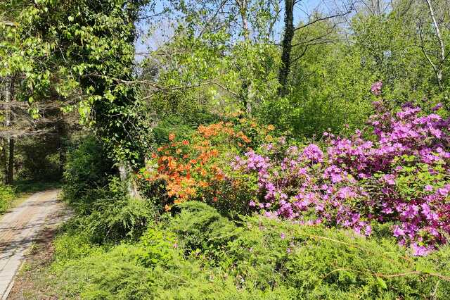 Jeli Arborétum