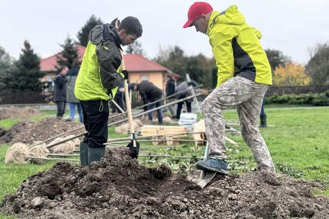Faültetés Vas Vármegyei Kormányhivatal