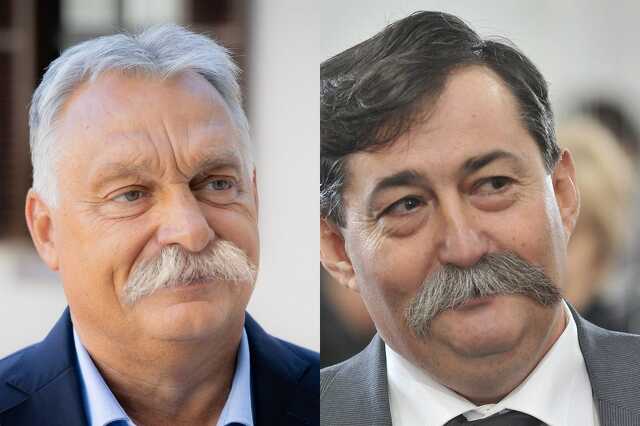 Bajuszparti