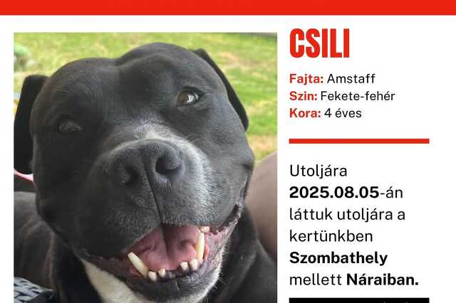Csili