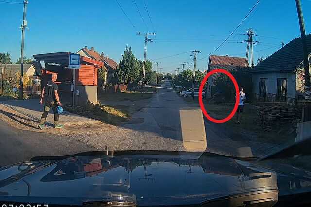 Videóra vették, ahogy egy gímszarvas felöklel egy fideszes képviselőt