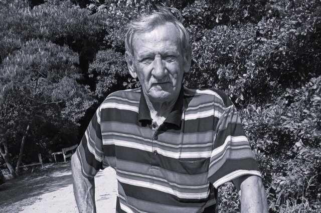 Németh József