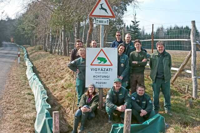 Békamentők Szentgotthárdnál