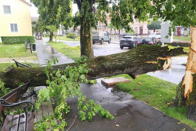 Faágat tört le a vihar Szentgotthárdon