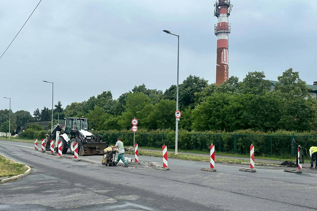 Éül a zebra a szombathelyi Muskátli utcában