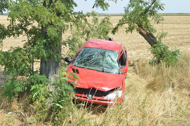Fának hajtott egy Peugeot