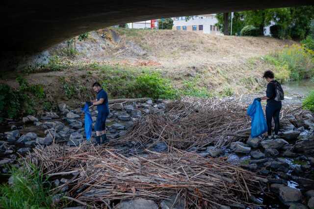 Szemétszedés a Gyöngyösön és Perinten