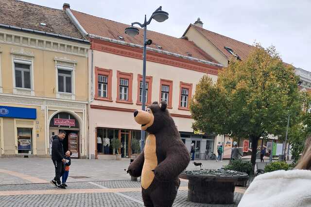 Maci koldul a főtéren