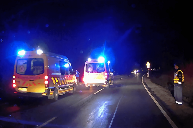 Vadbaleset Káld közelében, a 84-esen - Toyota ütött el ugró állatot - Fotó: Olvasó