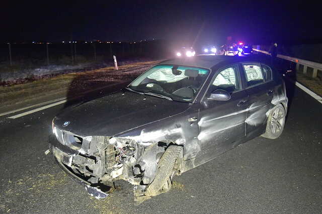 Nagytestű kutya szaladt BMW elé az M86-os autóúton, Vép közelében