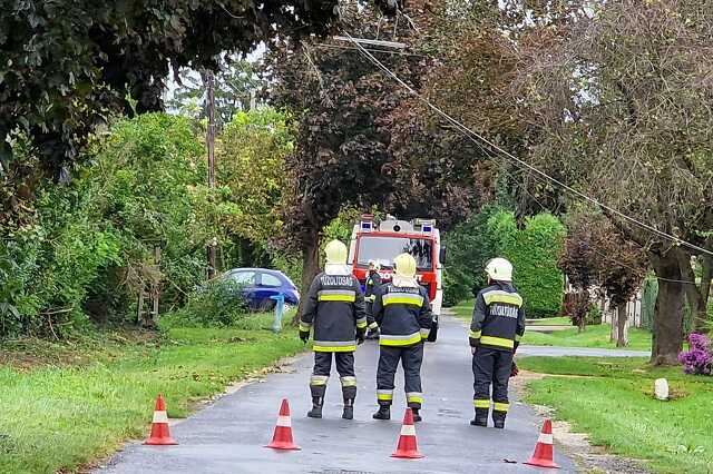 Kiszáradt fa dőlt villanyvezetékekre Szombathelyen - egy oszlop is kitörött