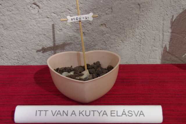 Nem létező tárgyak kiállítása 