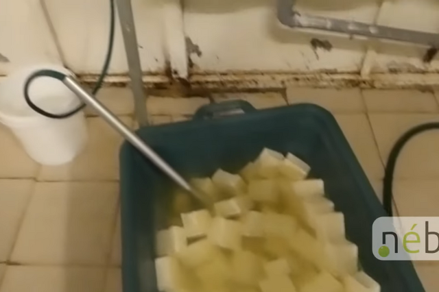 Tofu