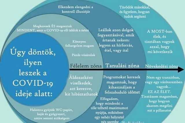 A koronavírus feldolgozásának szakaszai