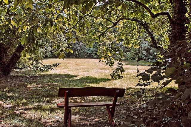 Sárvári arborétum