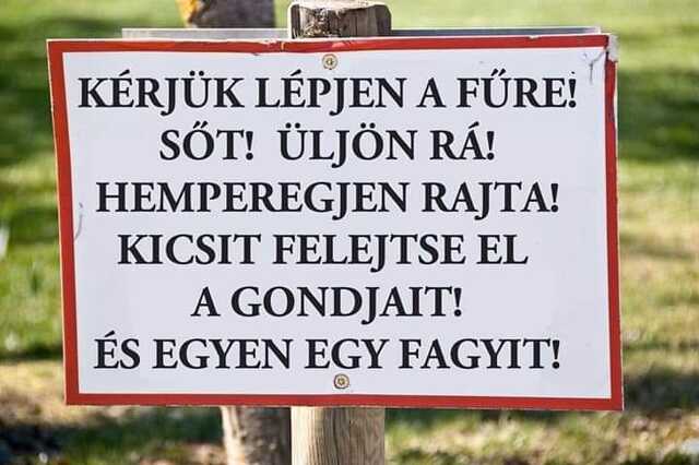 MKKP felhívás