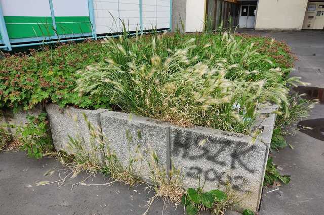 Elhanyagolt virátartók, járdák
