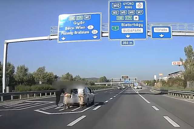 Autót tolnak az M1-es autópályán