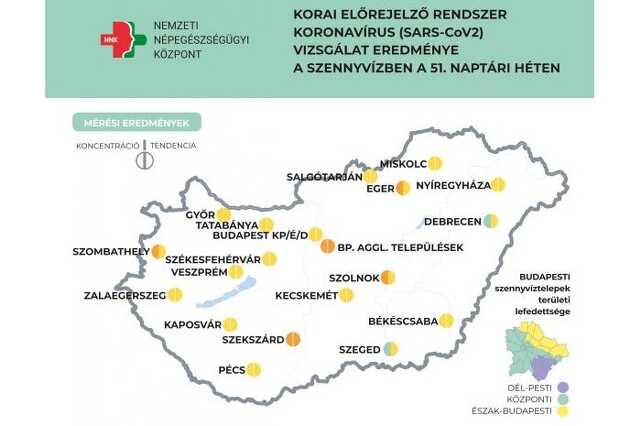 Koronavírusvírus örökítőanyagának koncentrációja - 51. hét