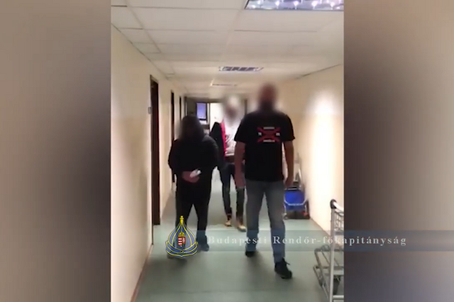 Őrizetbe vették
