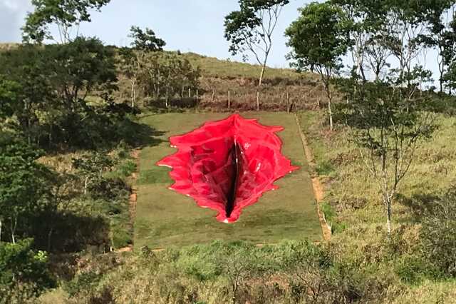 Díva