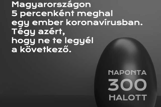 Magyar Orvosi Kamara videi