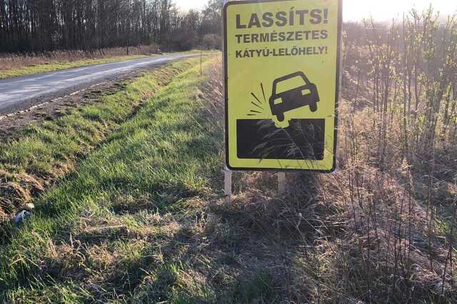 Kátyús ajkai út