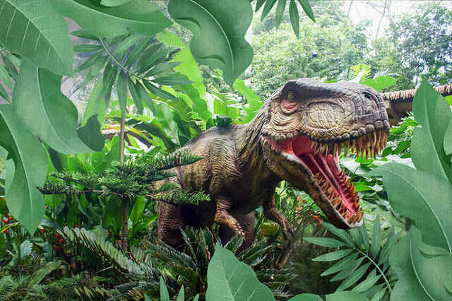 TRex