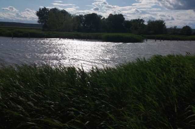 fertő