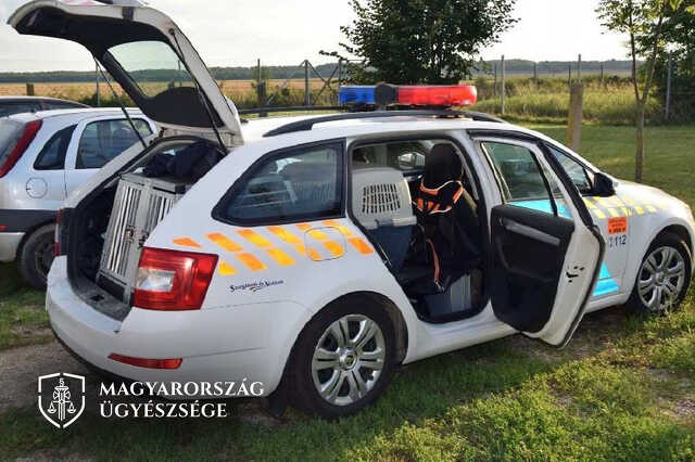 Elpusztultak a rendőrautóban hagyott kutyák