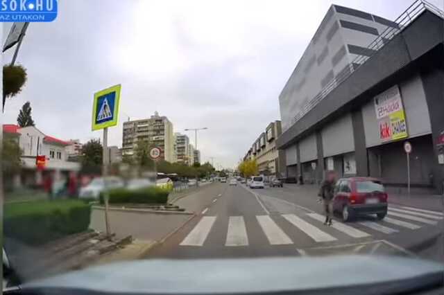 Elugrik a zebrán