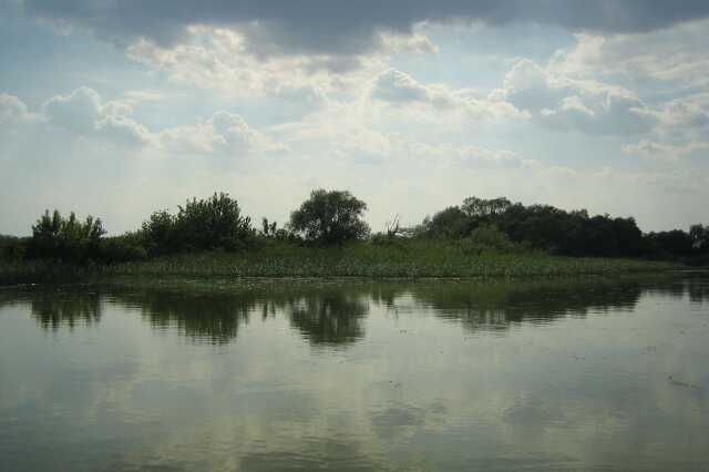 Tisza-tó, tó, víz