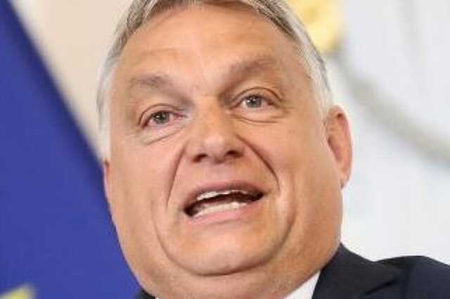 Orbán szőrös