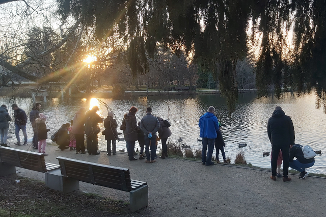Téli tavasz Szombathelyen 