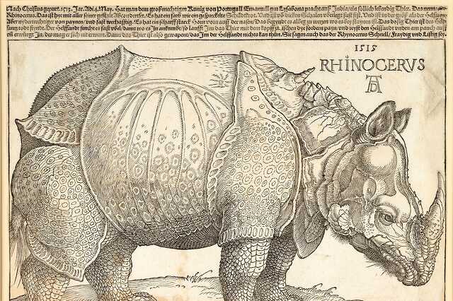 Kiállítás az Albertinában Dürer