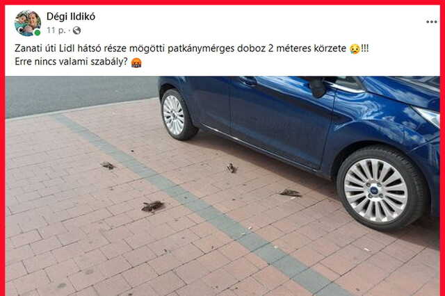 A rágcsálóirtó szernek nincs köze a madarak elhullásához