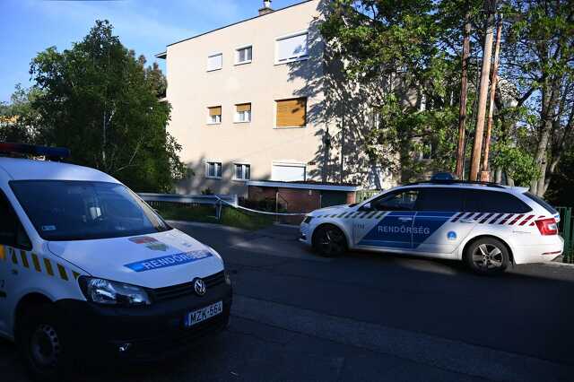 Gyilkosság a Rózsadombon