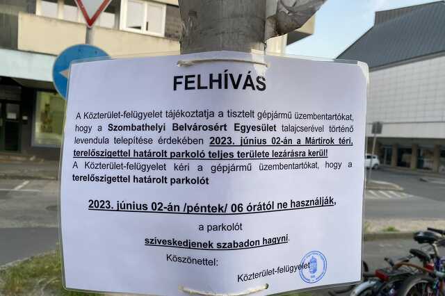 Levendula-telepítés, Szombathely