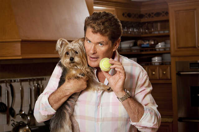 David Hasselhoff